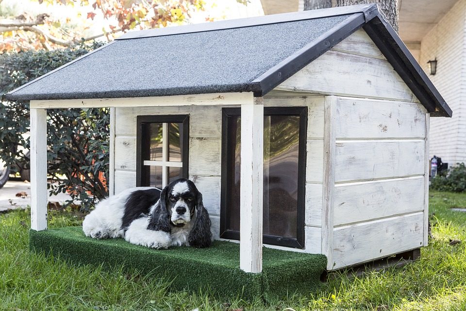 Wooden vs Brick Outdoor Dog House - Post Thumbnail